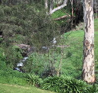 The Miners Cottage Barossa - Renee