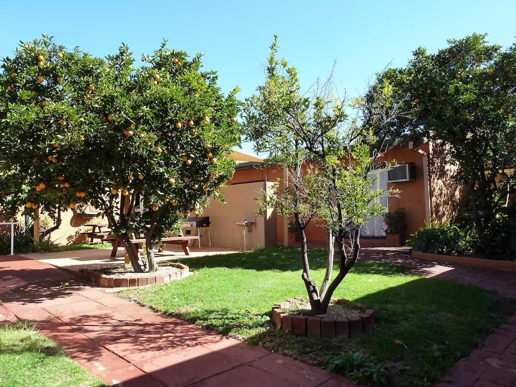 Kalgoorlie WA Swimm