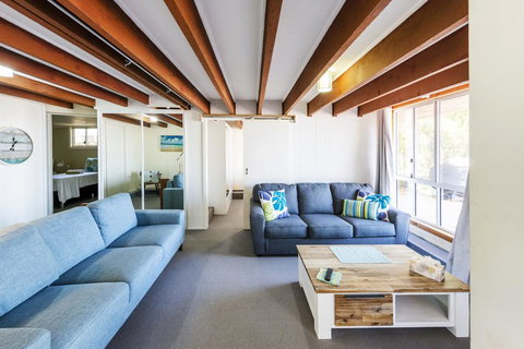 The Net Shed - Internet Find 2