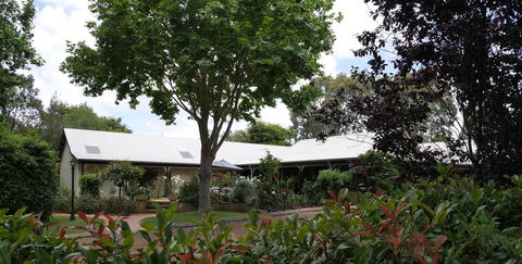 The Noble Grape Guesthouse - Renee 0