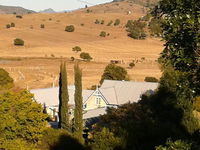 Business in Boonah QLD Renee Renee