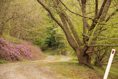 The Old Koonabulla Dairy - Renee 2