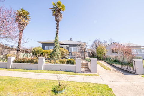 The Palms - Stylish, Modern And Cute As A Button - Renee 1