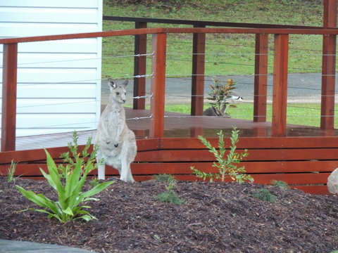 The Pouch B & B - Renee 1