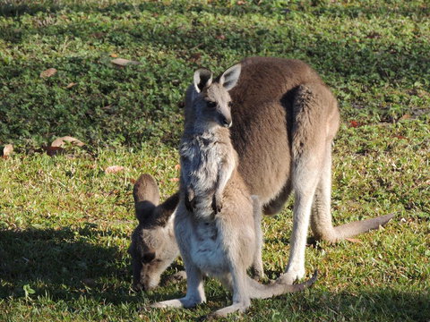 The Pouch B & B - Renee 2