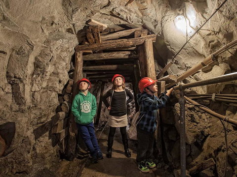 The Robin Hood Inn - Renee 2