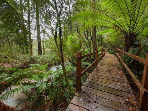 The Source, Otways - Swimm 0