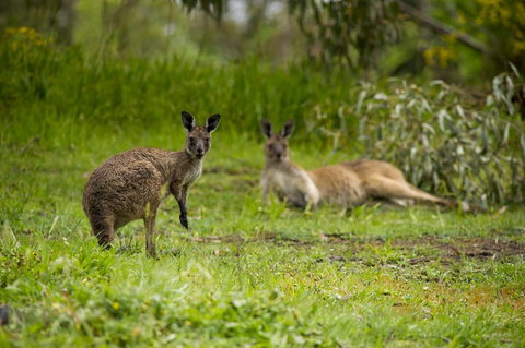 The Stirling Golf Club - Qld Realsetate 2