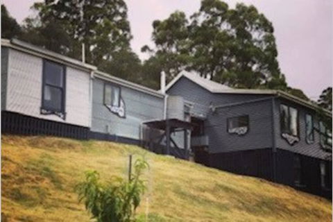 The Tin Dragon - Renee 1