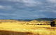 The Wattle Lodge - thumb 1