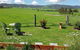 The Wattle Lodge - thumb 2