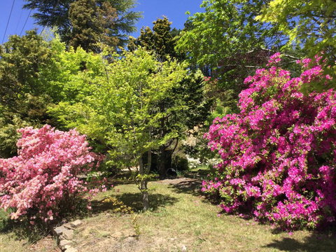 The Wentworth Retreat - Internet Find 1