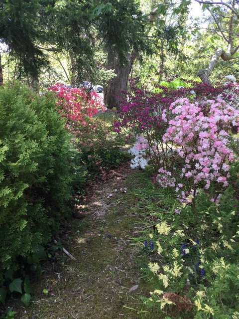 The Wentworth Retreat - Internet Find 3