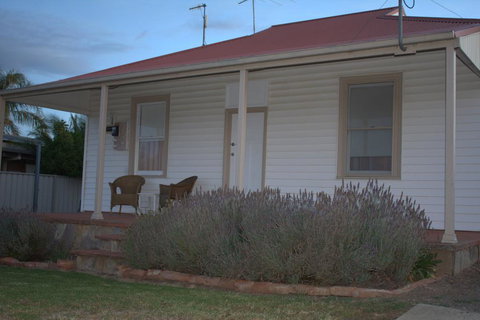 The Yellow Daisy - Renee 1