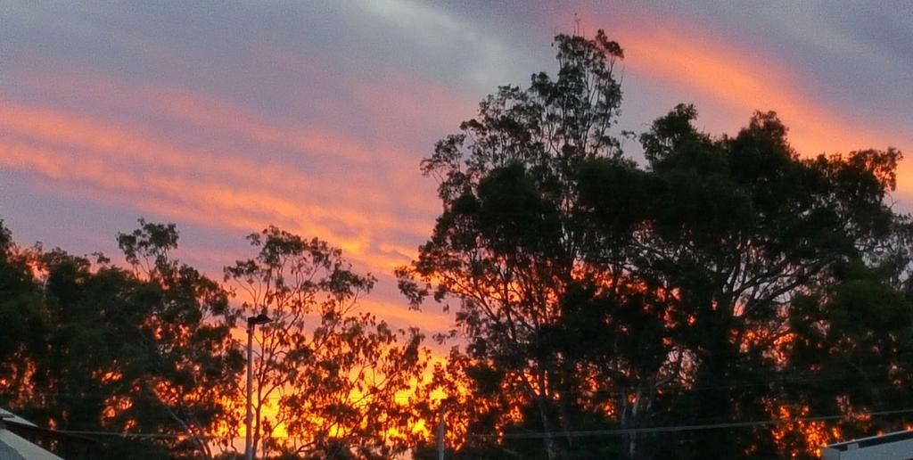 Golden Outback WA Internet Find