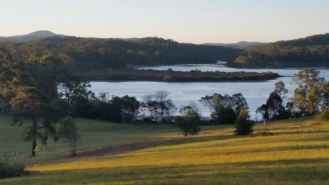 Thistle Dome - Renee 0