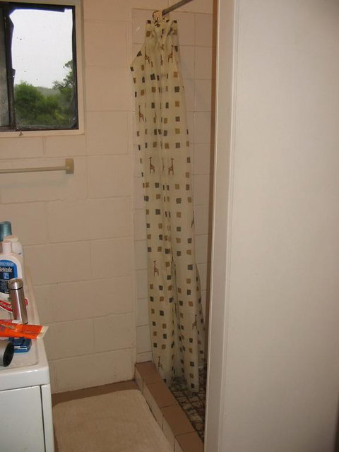 Thistle Dome - Renee 3