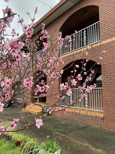 Thomastown Antique House Room 3 - Internet Find 3