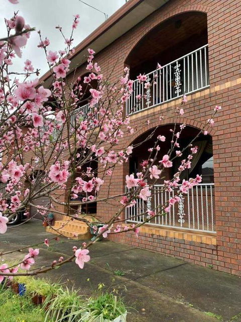 Thomastown Antique House Room 3 - Renee 3