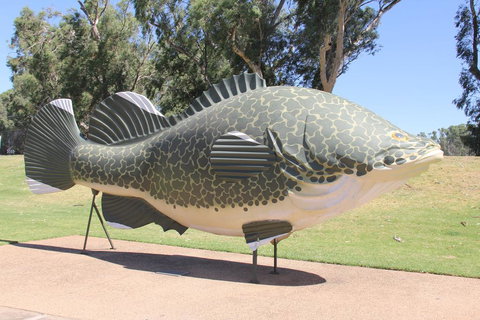 Tocumwal Hotel Motel (The Palms) - Renee 1