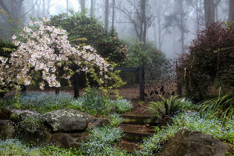 Tomah Retreat - Just RELAX - Internet Find 0