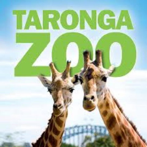 Top Mosman Location - Renee 3