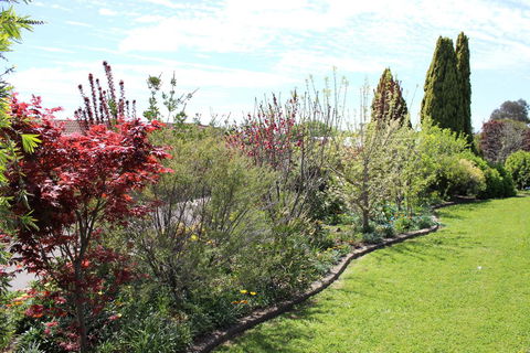 Top Of The Town Motel - Qld Realsetate 2