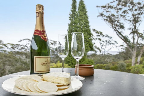 Toria Views - Swimm 1