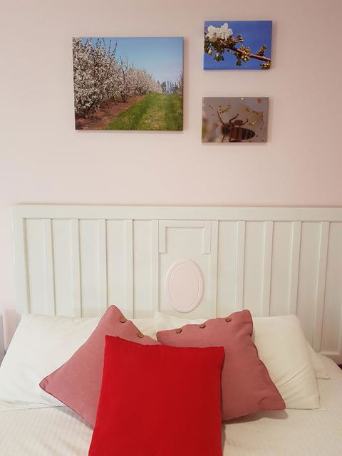 Town House Motor Inn Young - Swimm 1