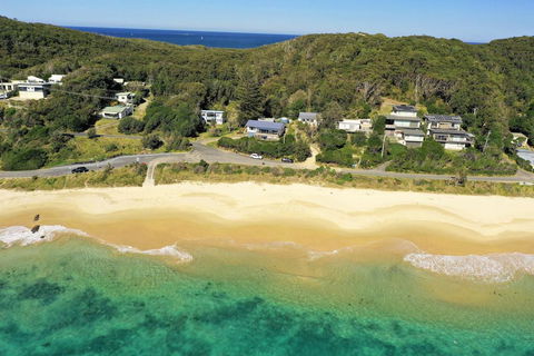 TRADEWINDS - Renee 3