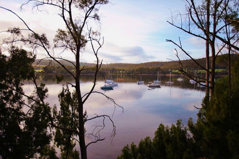 Tranquil Point - Renee 0