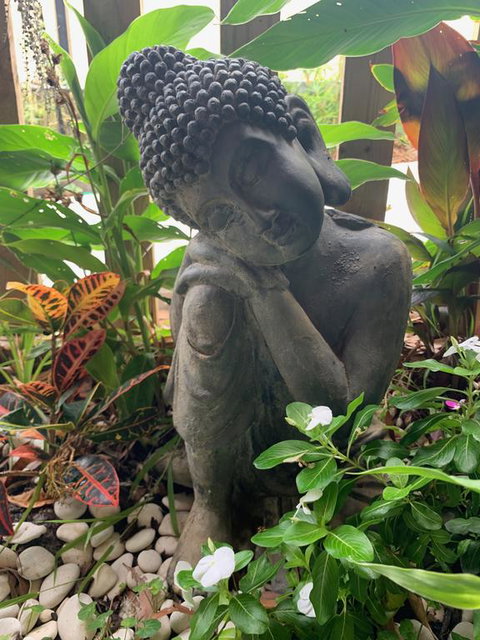 Tranquil Spa Retreat - Qld Realsetate 3