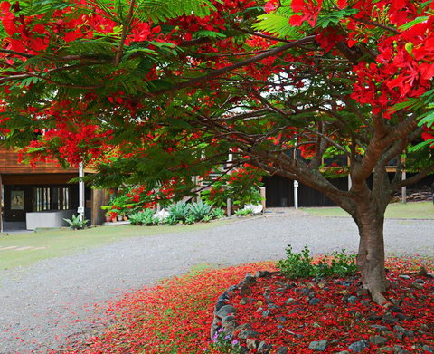 TRANQUILO BEACH HOUSE - Qld Realsetate 2