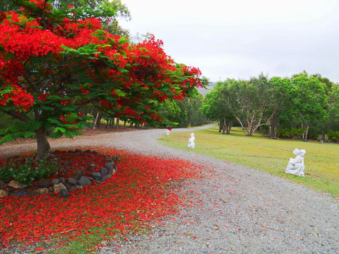 TRANQUILO BEACH HOUSE - Qld Realsetate 1
