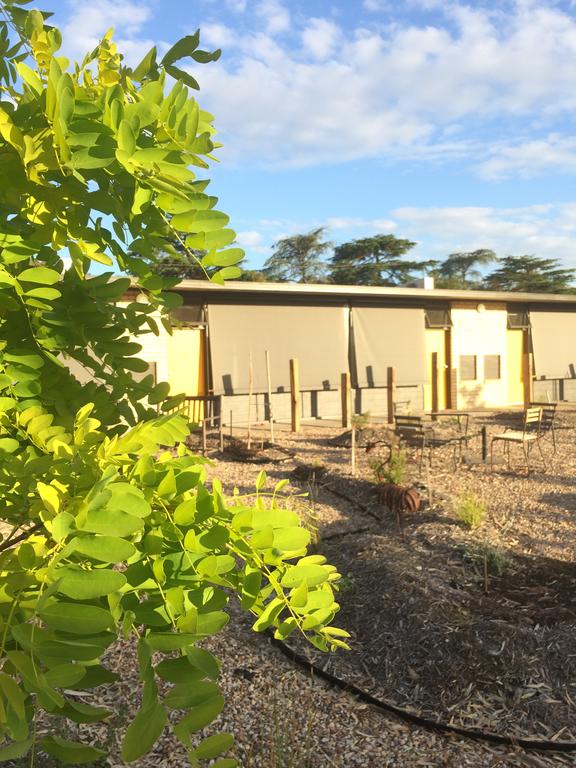Harcourt North VIC Renee