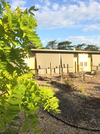 Business in Harcourt VIC Internet Find Internet Find