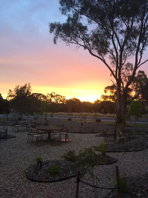 Tread Harcourt - Internet Find 2