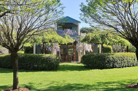 Tree Elle Retreat - Renee 0