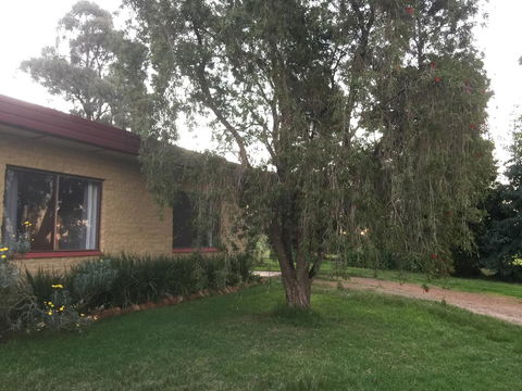 Tree Of Love Farm Stay - Swimm 1