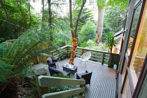 Tree Top Stay - Renee 3