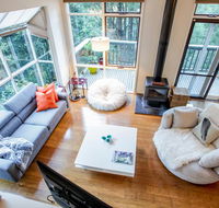 Tree Top Stay - Internet Find