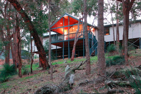 Treehouse - 3 Acre Elevated Nature Setting - Renee 3