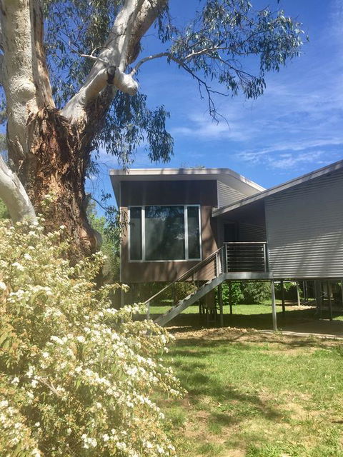 Treehouse Retreat - Renee 3