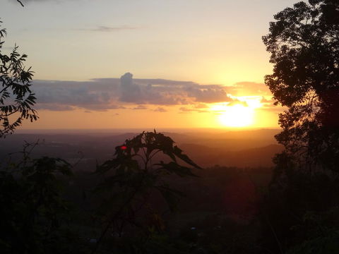 Treetops Montville - Petrol Stations 3
