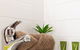 Trendy Loft Near Smith St. With Cosy Courtyard And Parking - thumb 3