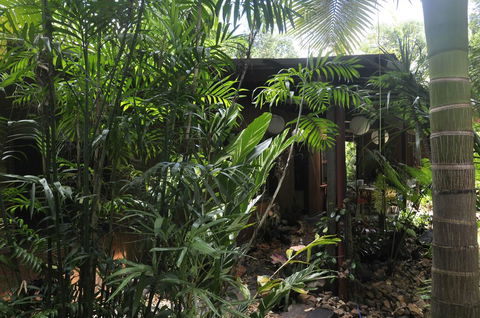 Tropical Bliss Bed And Breakfast - Renee 2