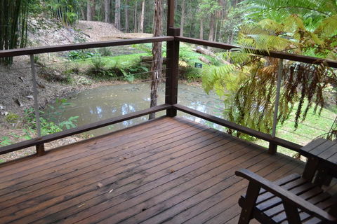 Turmeric Gardens - Renee 2