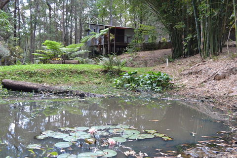 Turmeric Gardens - Renee 3