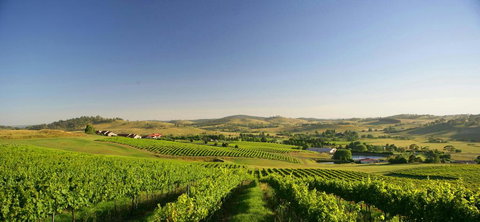 Turners Vineyard Motel - Qld Realsetate 0