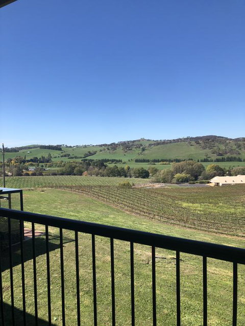 Turners Vineyard Motel - Qld Realsetate 2